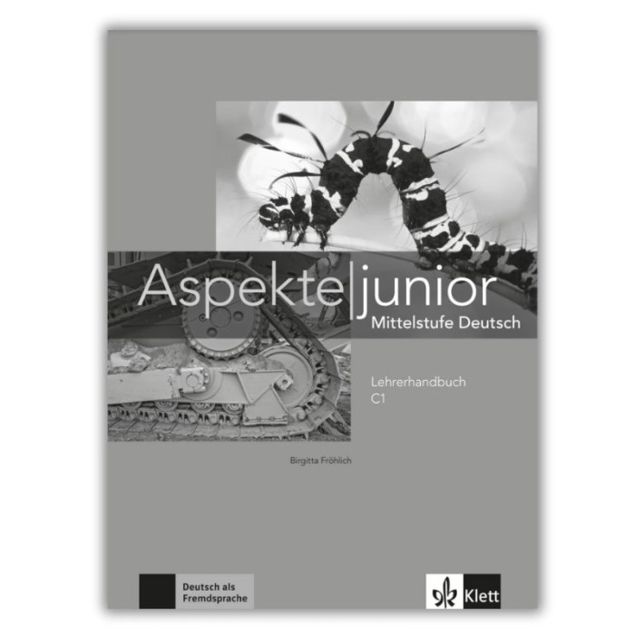 Aspekte junior C1: Teacher's Manual